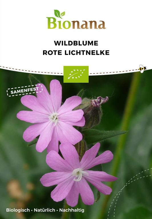 Wildblume Rote Lichtnelke | BIO Wildblumensamen von Bionana