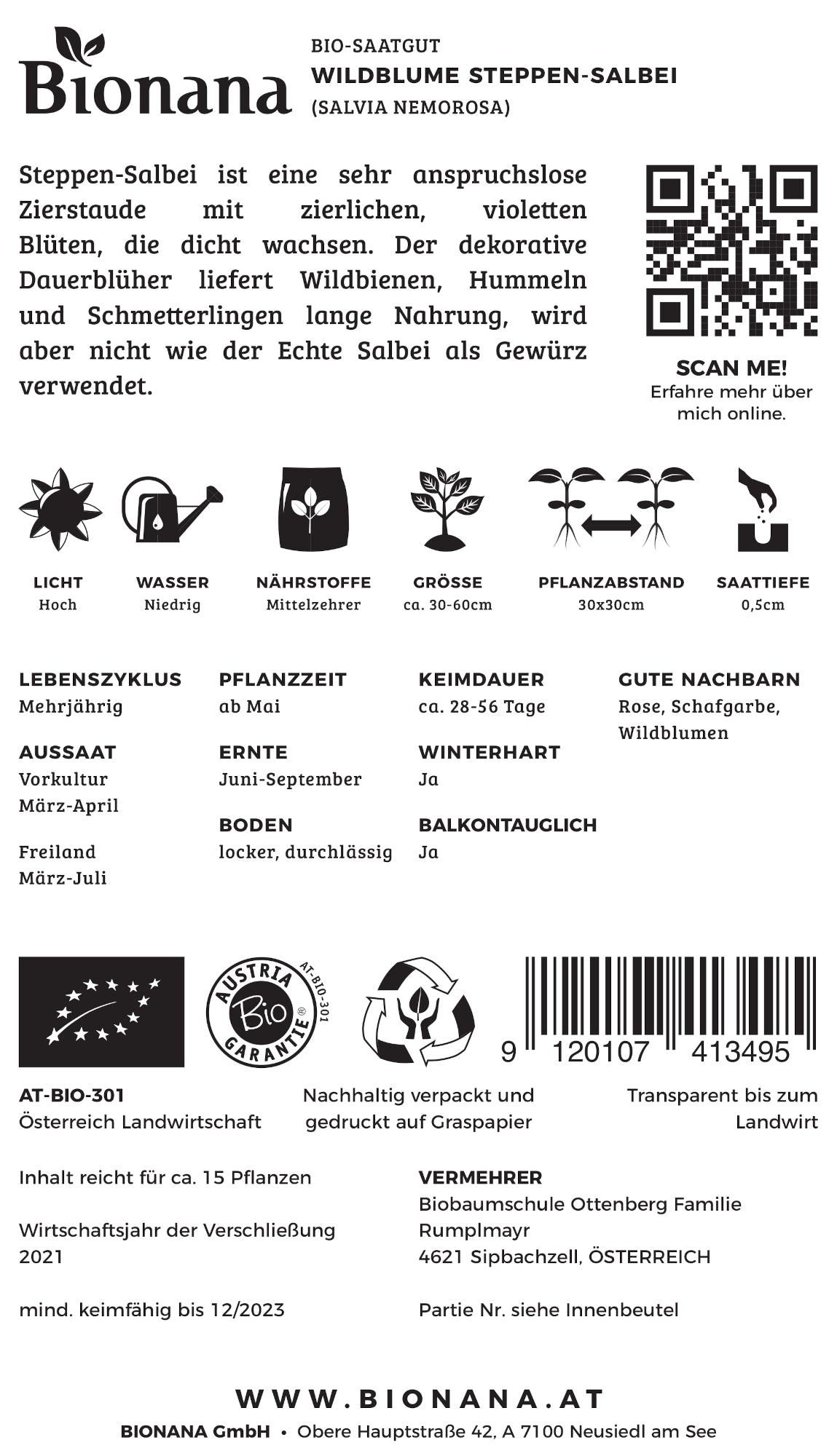 Wildblume Steppen-Salbei | BIO Wildblumensamen von Bionana