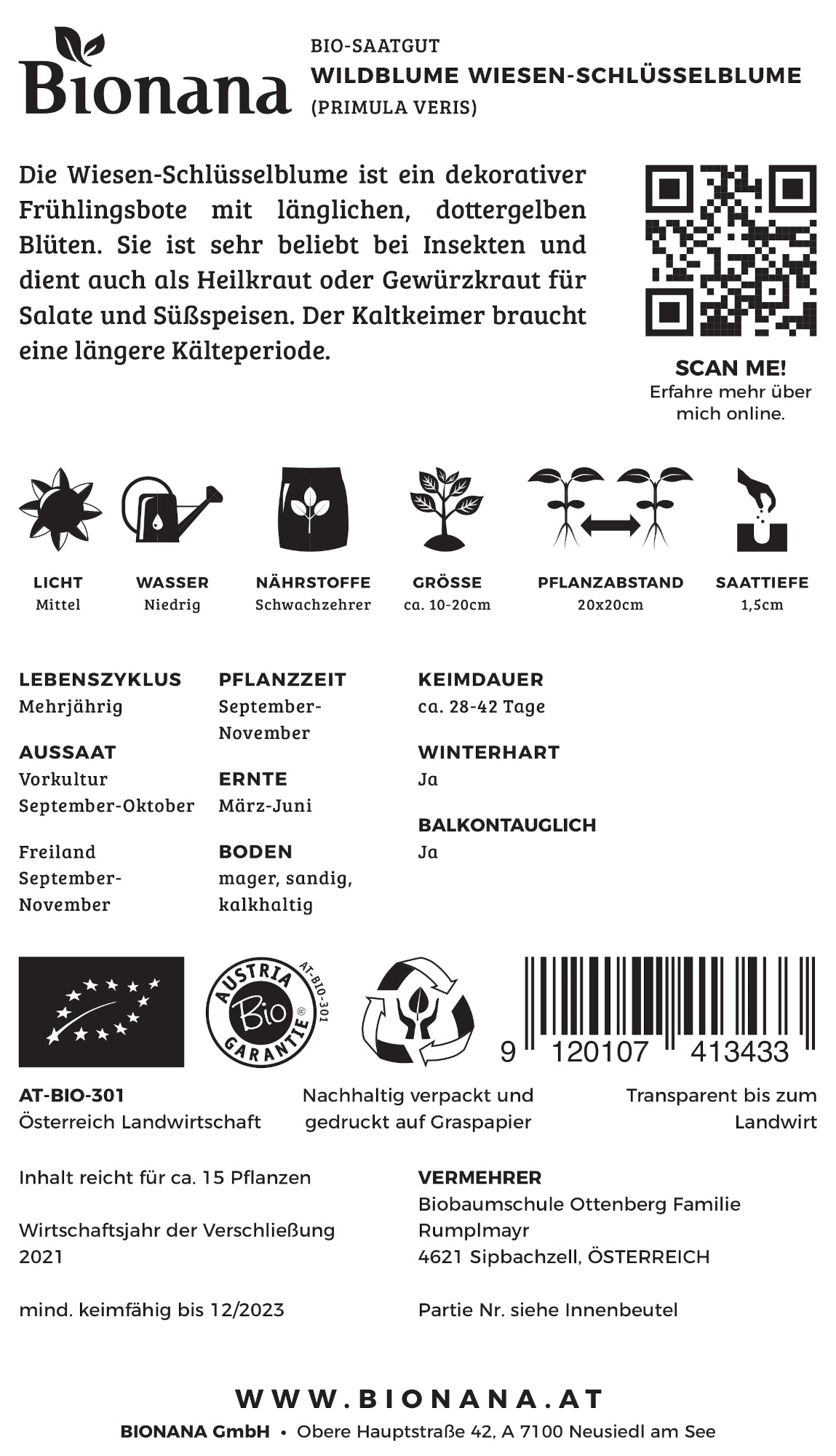 Wildblume Wiesen-Schlüsselblume | BIO Wildblumensamen von Bionana