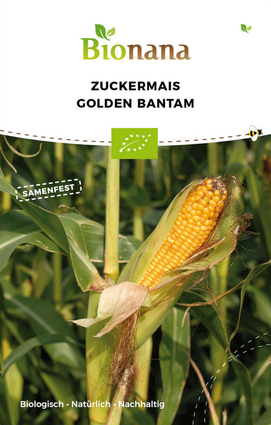 Artikelbild 1 von "BIO Zuckermais Golden Bantam" aus der Kategorie Maissamen
