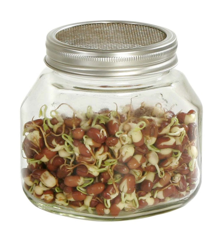 Sprossenglas (750 ml) | Sprossengläser von Eschenfelder