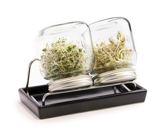 Sprossenglas-System II anthrazit (750 ml) | Sprossengläser von Eschenfelder