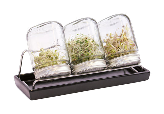 Sprossenglas-System III anthrazit (750 ml) | Sprossengläser von Eschenfelder