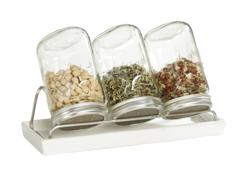 Artikelbild 1 von "Sprossenglas-System III weiß (1000 ml)" aus der Kategorie Sprossengläser