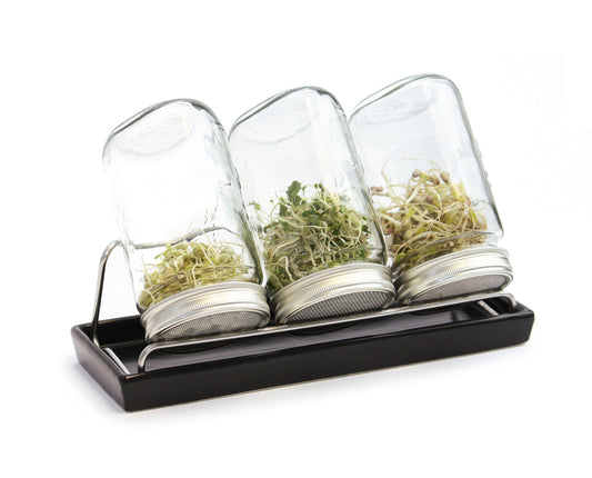 Sprossenglas-System III anthrazit (1000 ml) | Sprossengläser von Eschenfelder