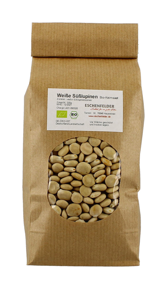 Weiße Süßlupine (500 g) | BIO Keimsprossen von Eschenfelder