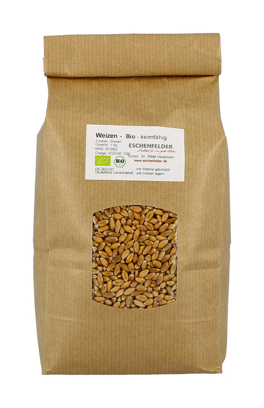 Artikelbild 1 von "BIO Weizen (1 kg)" aus der Kategorie Keimsprossen