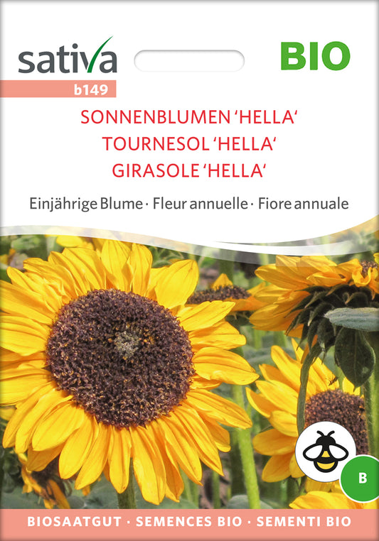 Sonnenblume Hella | BIO Sonnenblumensamen von Sativa Rheinau