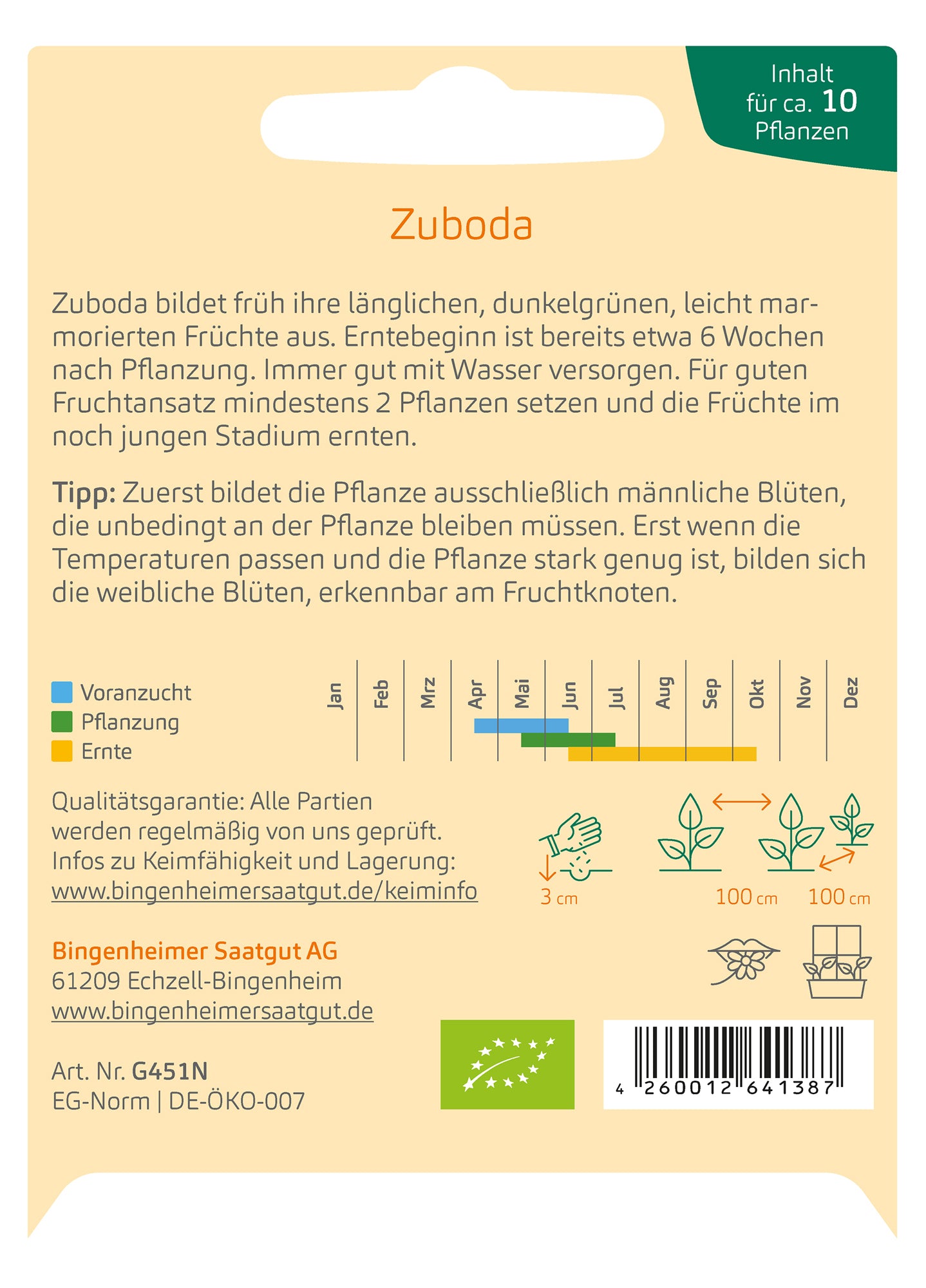 Zucchini Zuboda | BIO Zucchinisamen von Bingenheimer Saatgut