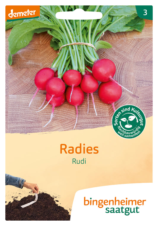 Radies Rudi GS Saatband | BIO Radieschensamen von Bingenheimer Saatgut