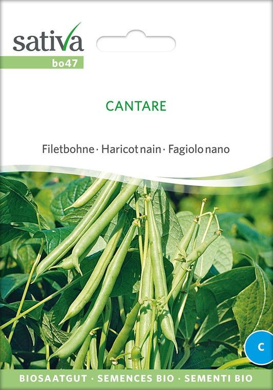 Filetbohne Cantare | BIO Bohnensamen von Sativa Rheinau [MHD 12/2024]