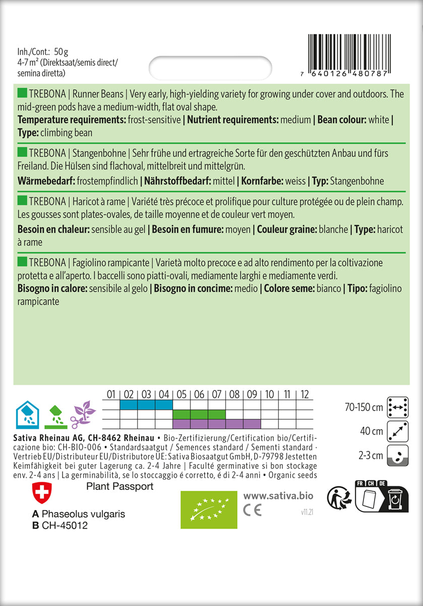 Artikelbild 2 von "BIO Stangenbohne Trebona" aus der Kategorie Stangenbohnensamen