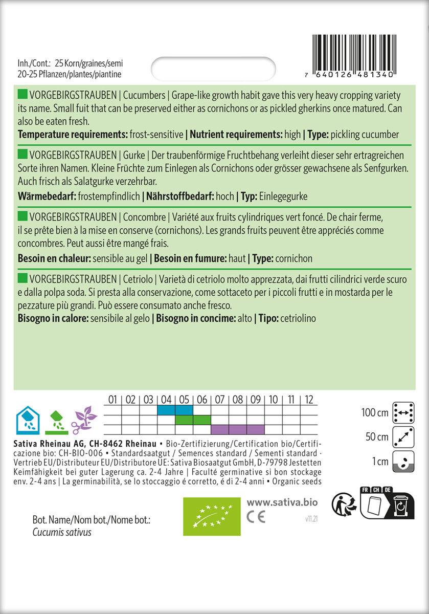 Artikelbild 2 von "BIO Gurke Vorgebirgstrauben [MHD 12/2025]" aus der Kategorie Gurkensamen