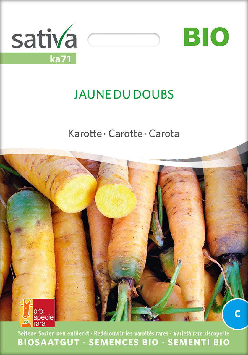 Artikelbild 1 von "BIO Möhre Jaune Du Doubs [MHD 12/2025]" aus der Kategorie Möhrensamen