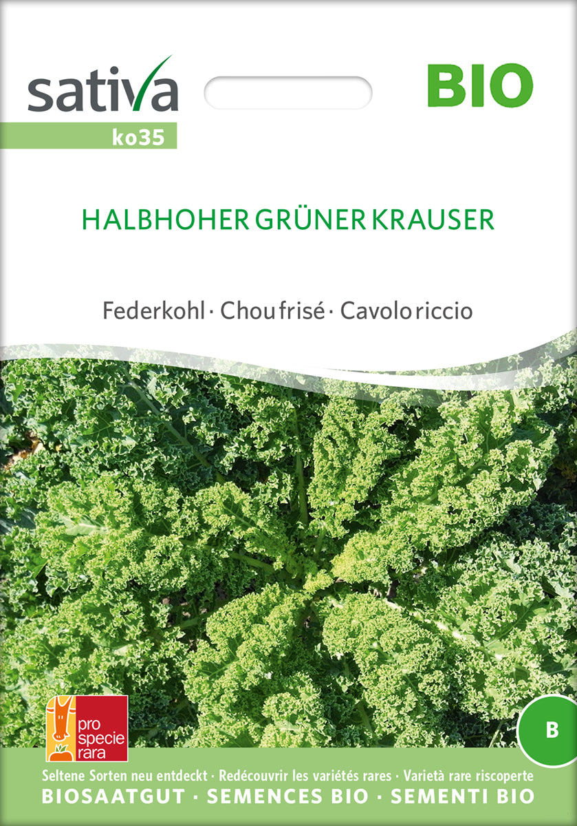 Artikelbild 1 von "BIO Federkohl / Grünkohl Halbhoher Grüner Krauser [MHD 12/2025]"