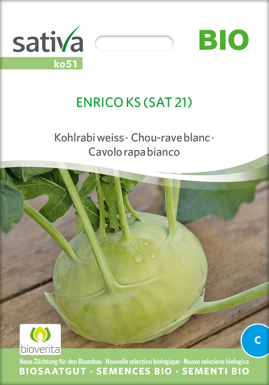 Artikelbild 1 von "BIO Kohlrabi weiss Auslese Sehr Früh" aus der Kategorie Kohlrabisamen