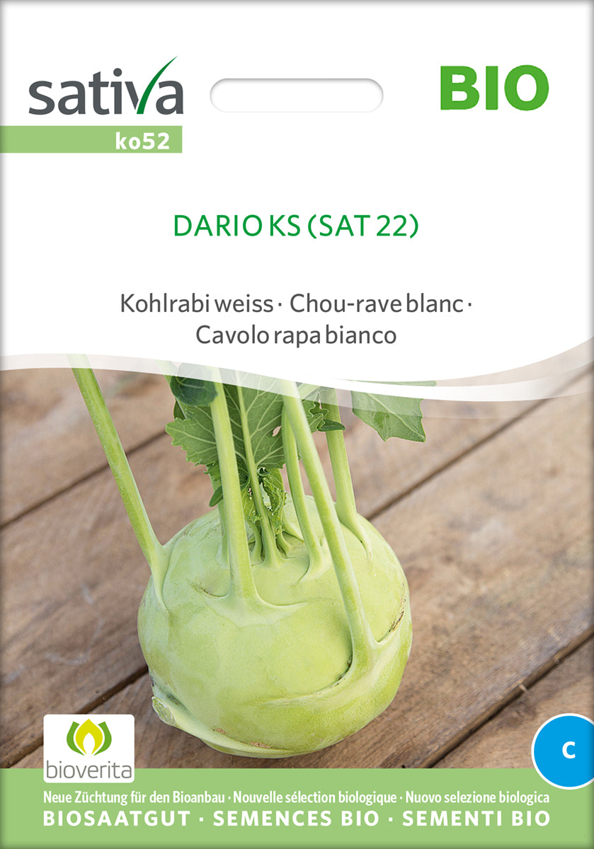 Artikelbild 1 von "BIO Kohlrabi weiss Auslese Früh [MHD 12/2025]" aus der Kategorie Kohlrabisamen