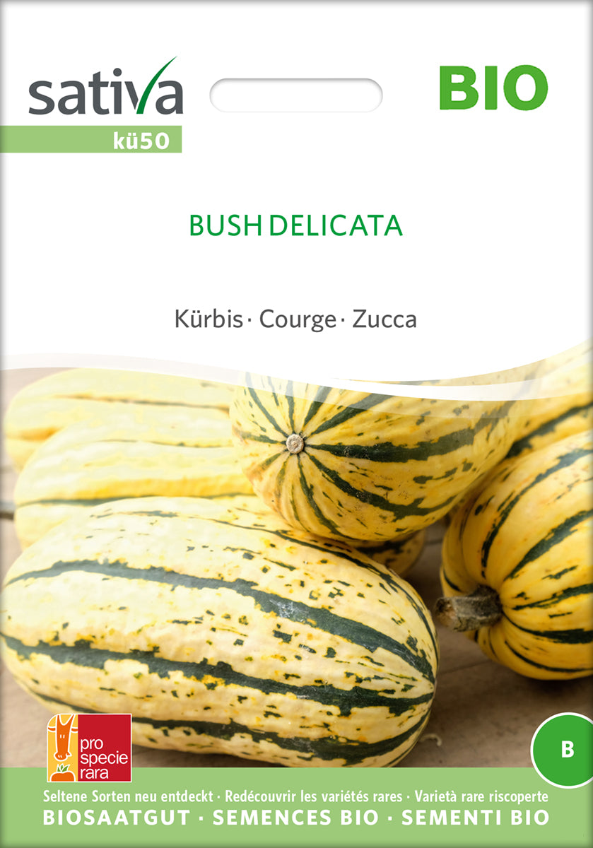 Artikelbild 1 von "BIO Kürbis Bush Delicata" aus der Kategorie Kürbissamen