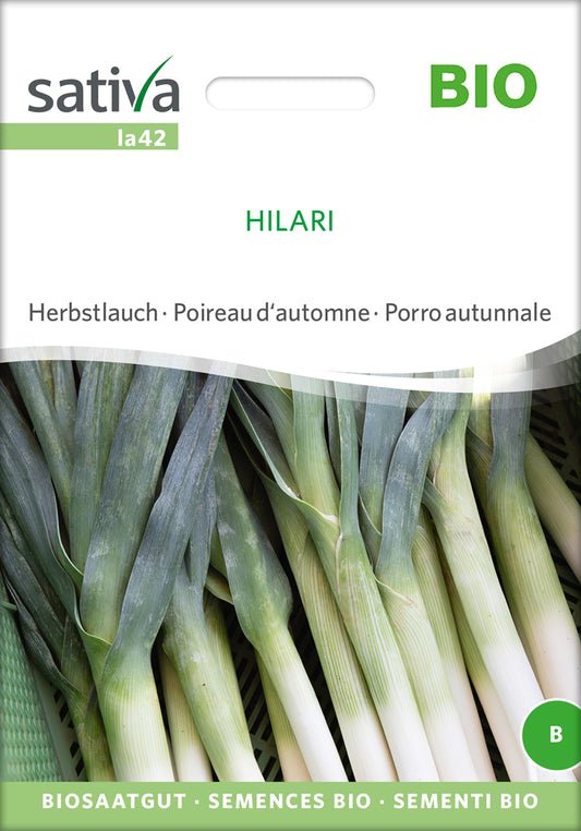 Artikelbild 1 von "BIO Herbstlauch Hilari" aus der Kategorie Lauchsamen