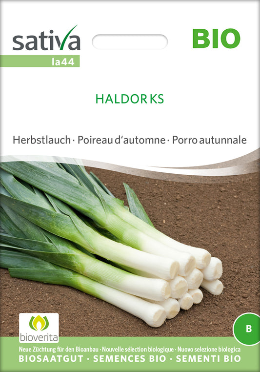 Artikelbild 1 von "BIO Herbstlauch Haldor Ks" aus der Kategorie Lauchsamen