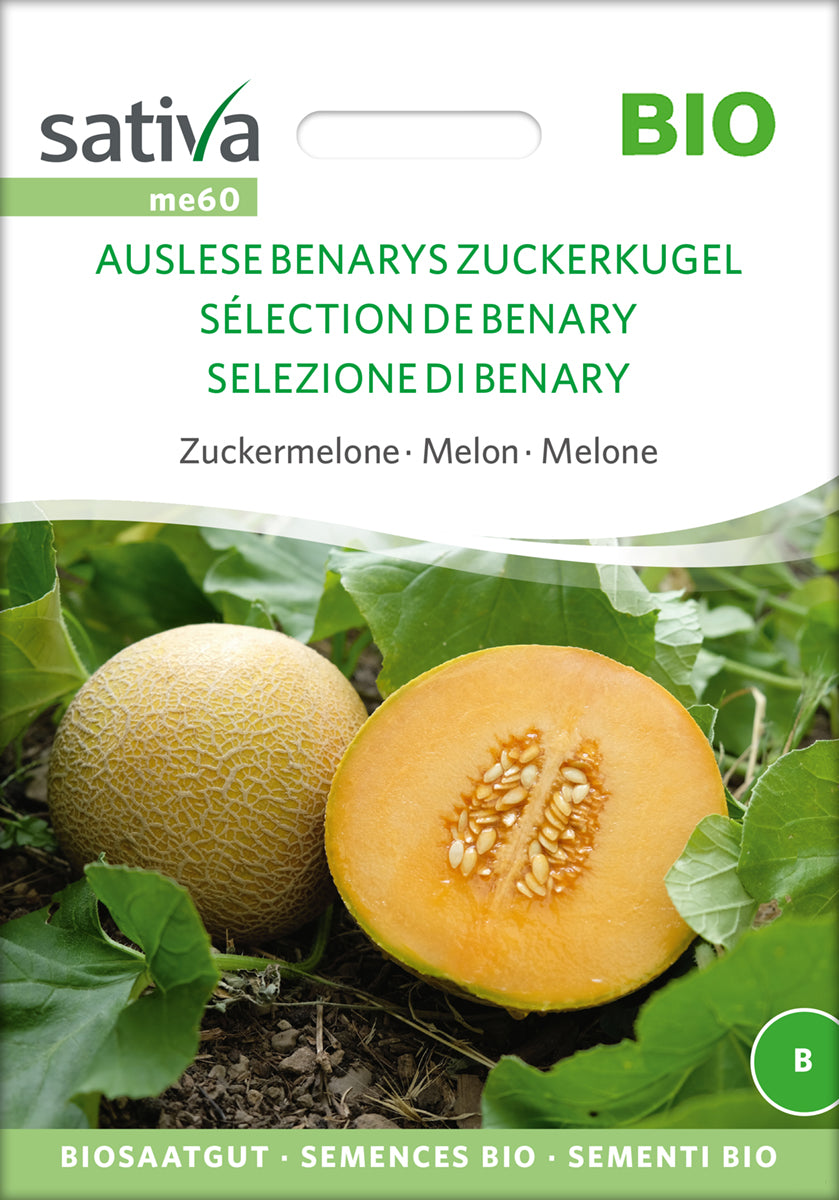 Artikelbild 1 von "BIO Zuckermelone Auslese" aus der Kategorie Zuckermelonensamen