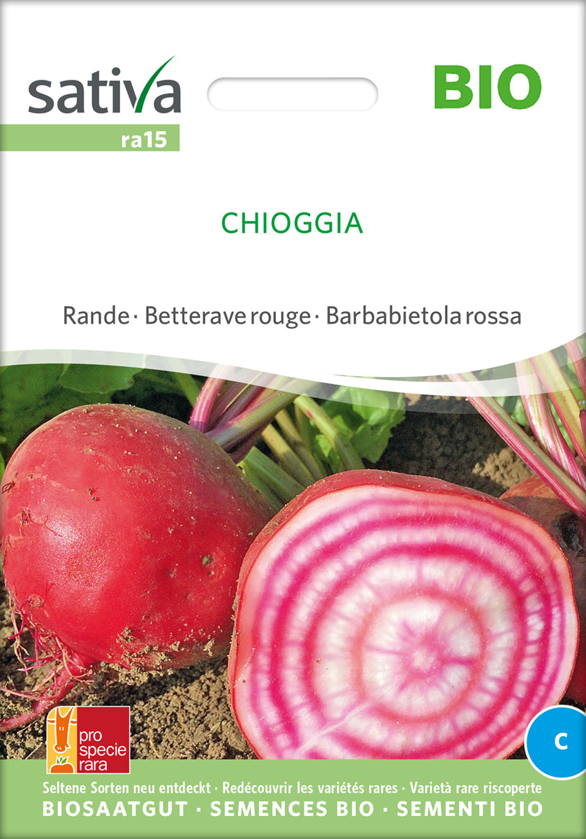 Artikelbild 1 von "BIO Rote Rübe Chioggia [MHD 12/2025]" aus der Kategorie Rote Beetesamen