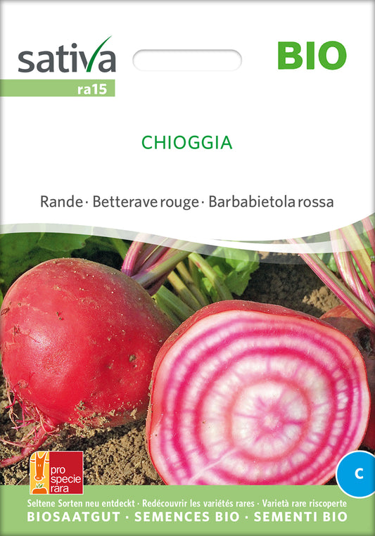 Rote Rübe Chioggia | BIO Rote Beetesamen von Sativa Rheinau