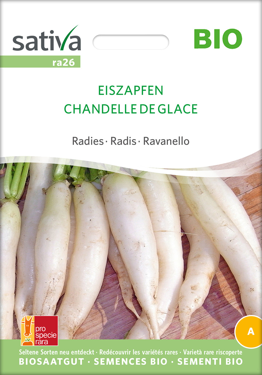 Artikelbild 1 von "BIO Radies Eiszapfen [MHD 12/2025]" aus der Kategorie Radieschensamen