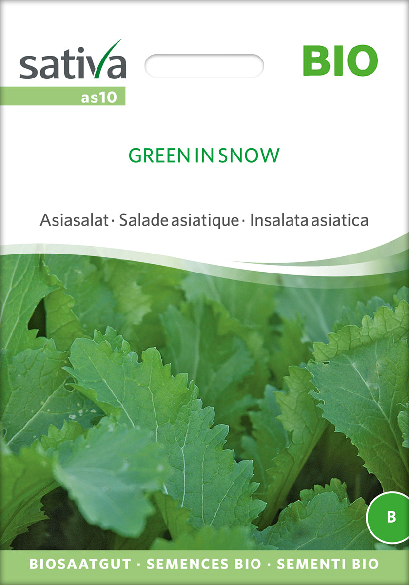 Artikelbild 1 von "BIO Asiasalat Green In Snow [MHD 12/2021]" aus der Kategorie Asiasalatsamen