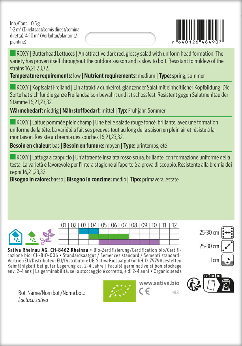 Artikelbild 2 von "BIO Kopfsalat Freiland Roxy [MHD 12/2025]" aus der Kategorie Kopfsalatsamen