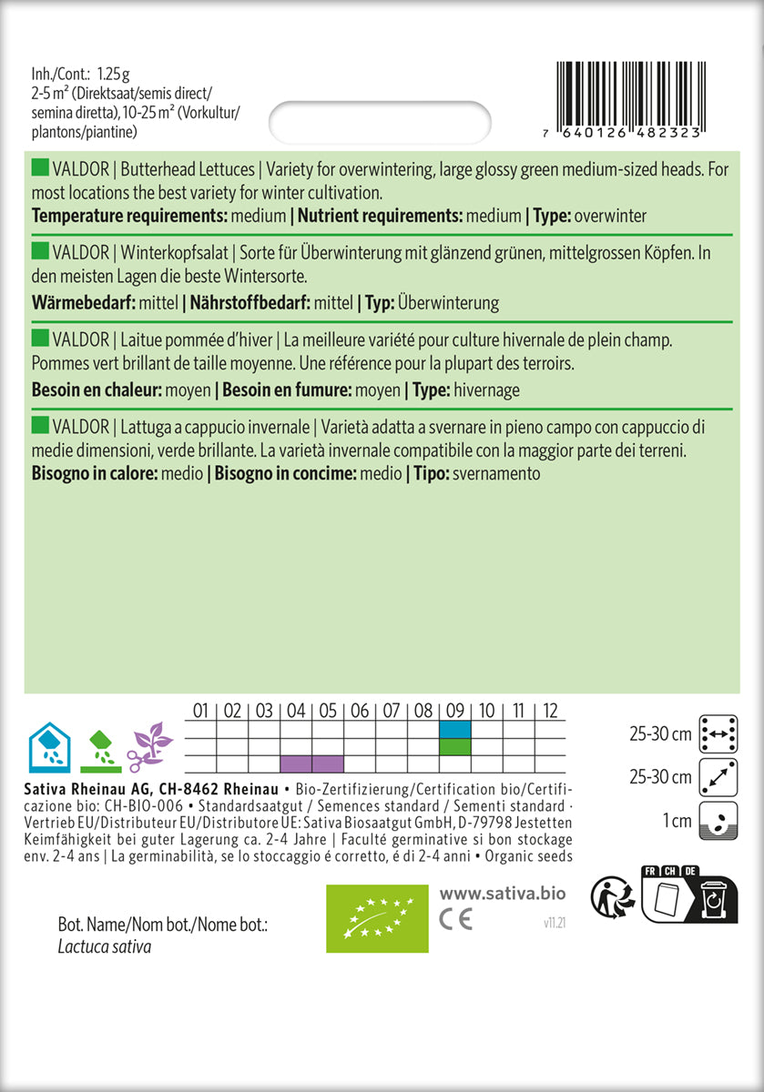 Artikelbild 2 von "BIO Winterkopfsalat Valdor" aus der Kategorie Kopfsalatsamen
