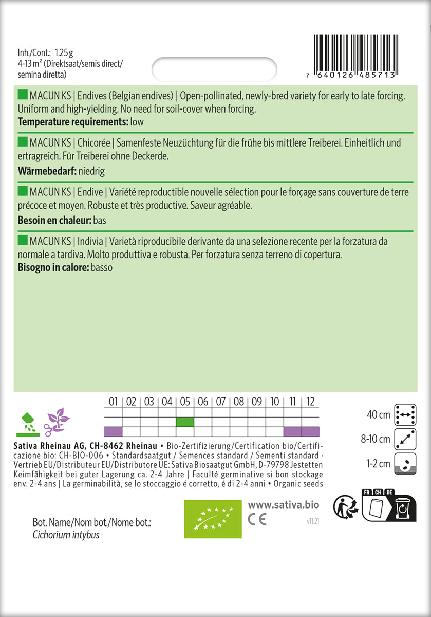 Artikelbild 2 von "BIO Chicorée Macun Ks" aus der Kategorie Chicoréesamen