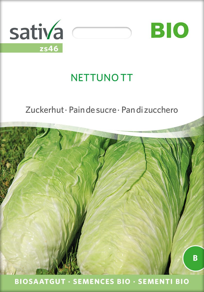 Artikelbild 1 von "BIO Zuckerhut Nettuno" aus der Kategorie Zuckerhutsamen