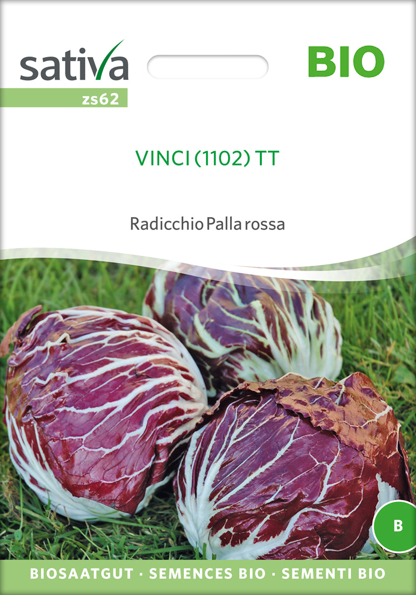 Palla rossa Vinci Tt | BIO Salatsamen von Sativa Rheinau [MHD 12/2024]