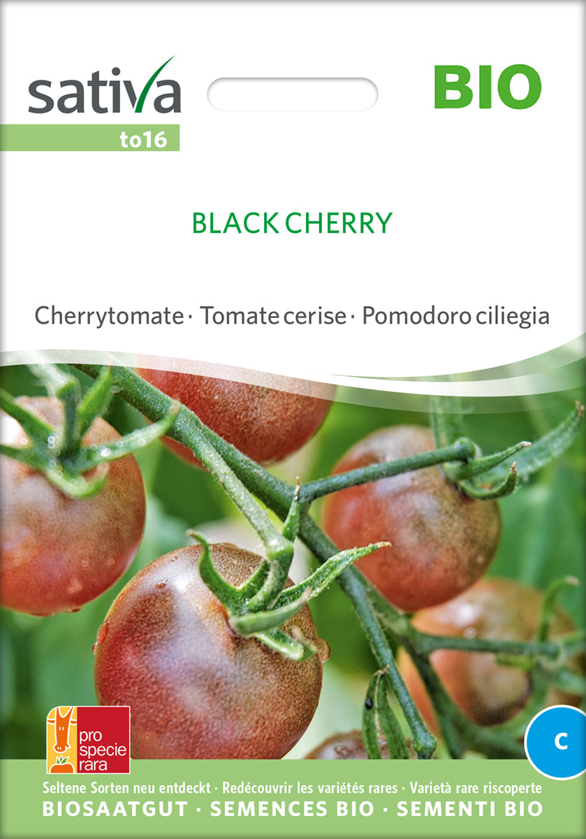 Artikelbild 1 von "BIO Cherrytomate Black Cherry [MHD 12/2025]" aus der Kategorie Kirschtomatensamen