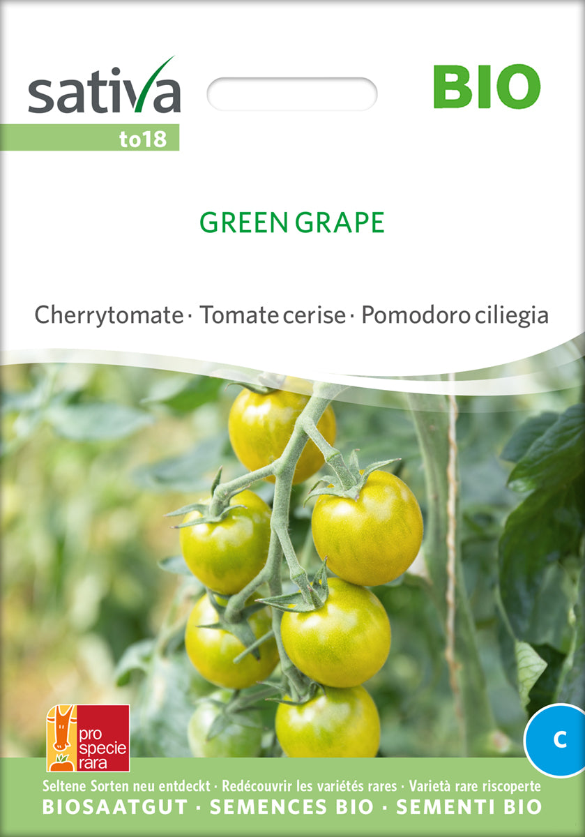 Artikelbild 1 von "BIO Cherrytomate Green Grape" aus der Kategorie Kirschtomatensamen