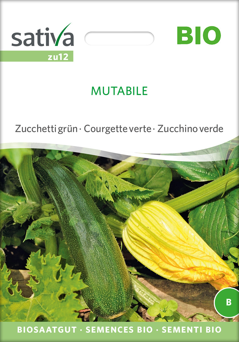 Artikelbild 1 von "BIO Zucchini Mutabile [MHD 12/2025]" aus der Kategorie Zucchinisamen