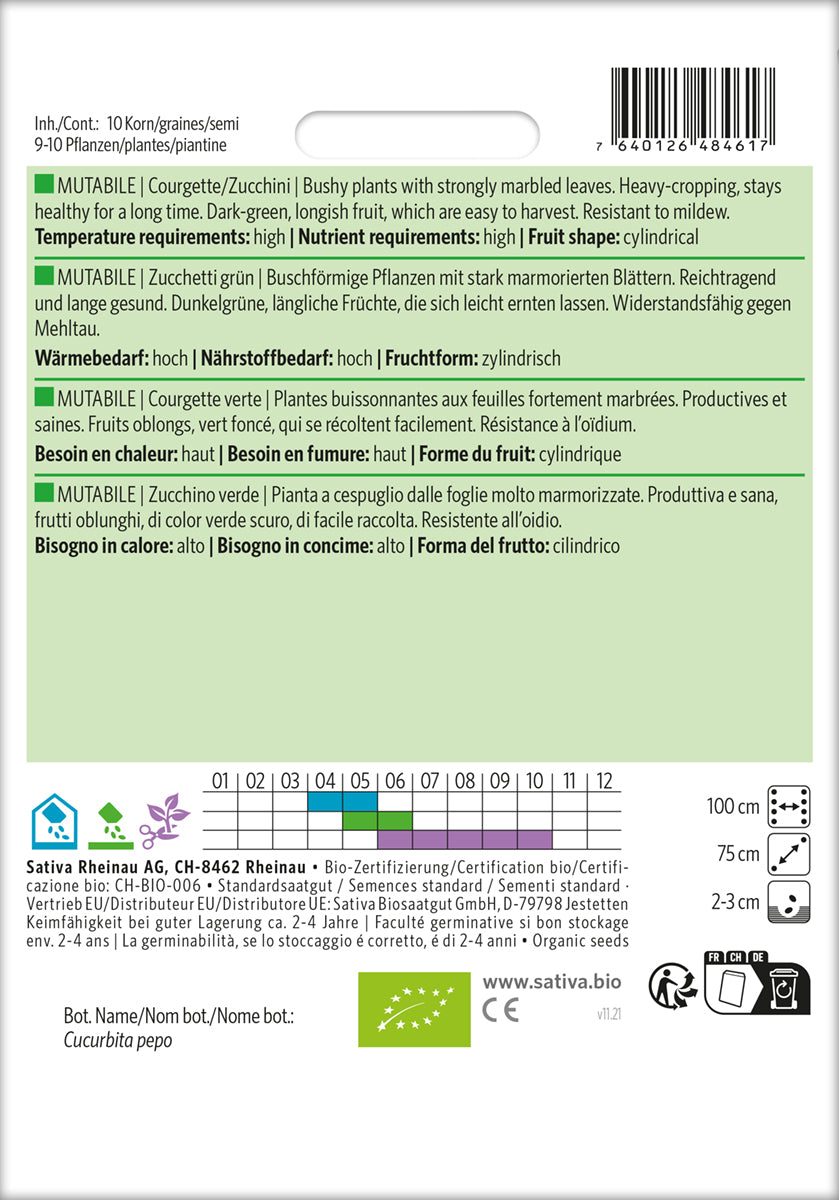 Artikelbild 2 von "BIO Zucchini Mutabile [MHD 12/2025]" aus der Kategorie Zucchinisamen