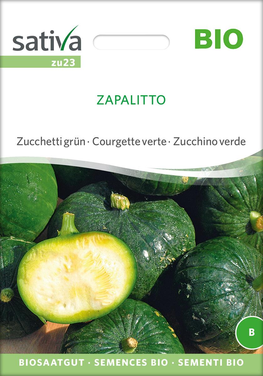 Artikelbild 1 von "BIO Zucchini Zapalitto" aus der Kategorie Zucchinisamen