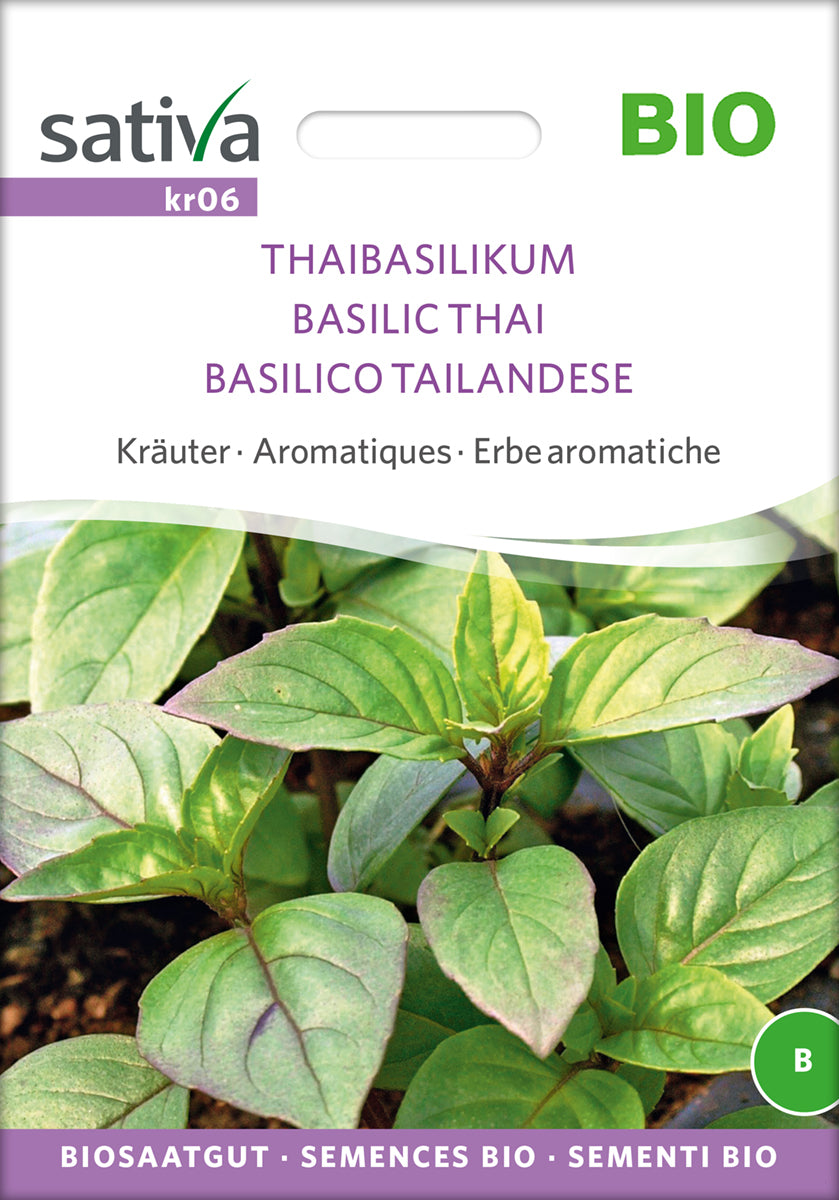 Artikelbild 1 von "BIO Thaibasilikum [MHD 12/2025]" aus der Kategorie Basilikumsamen