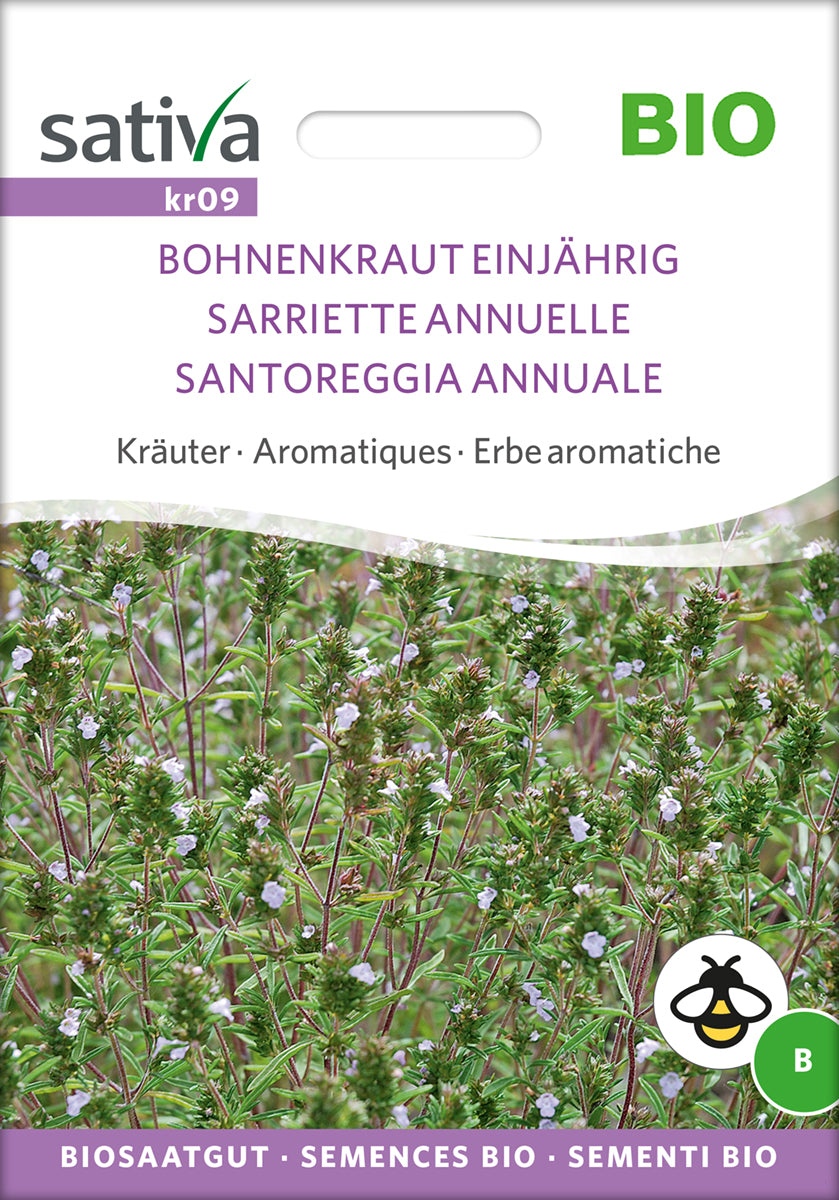 Artikelbild 1 von "BIO Bohnenkraut Einjährig [MHD 12/2024]" aus der Kategorie Bohnenkrautsamen