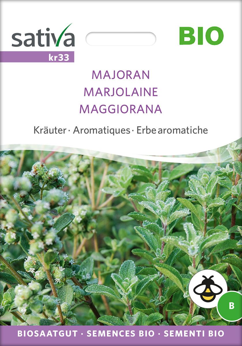 Artikelbild 1 von "BIO Majoran [MHD 12/2025]" aus der Kategorie Majoransamen