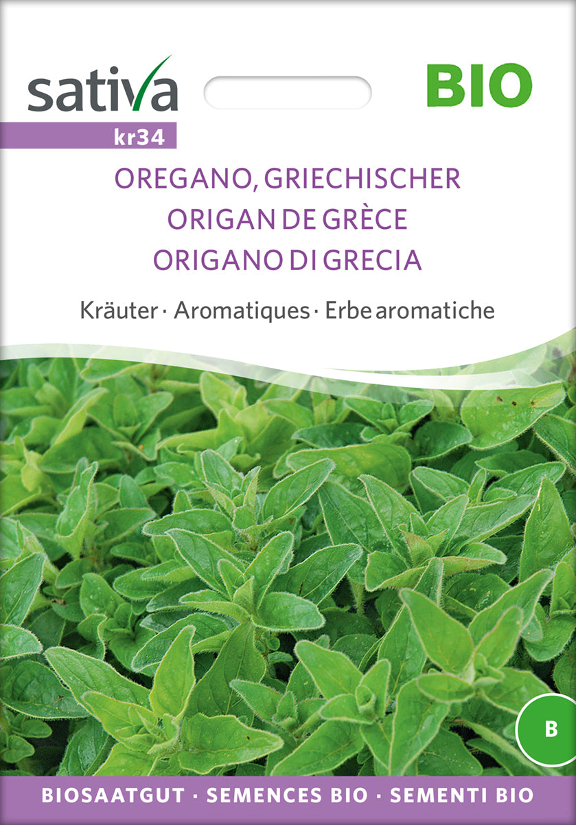 Artikelbild 1 von "BIO Griechischer Oregano [MHD 12/2025]" aus der Kategorie Oreganosamen