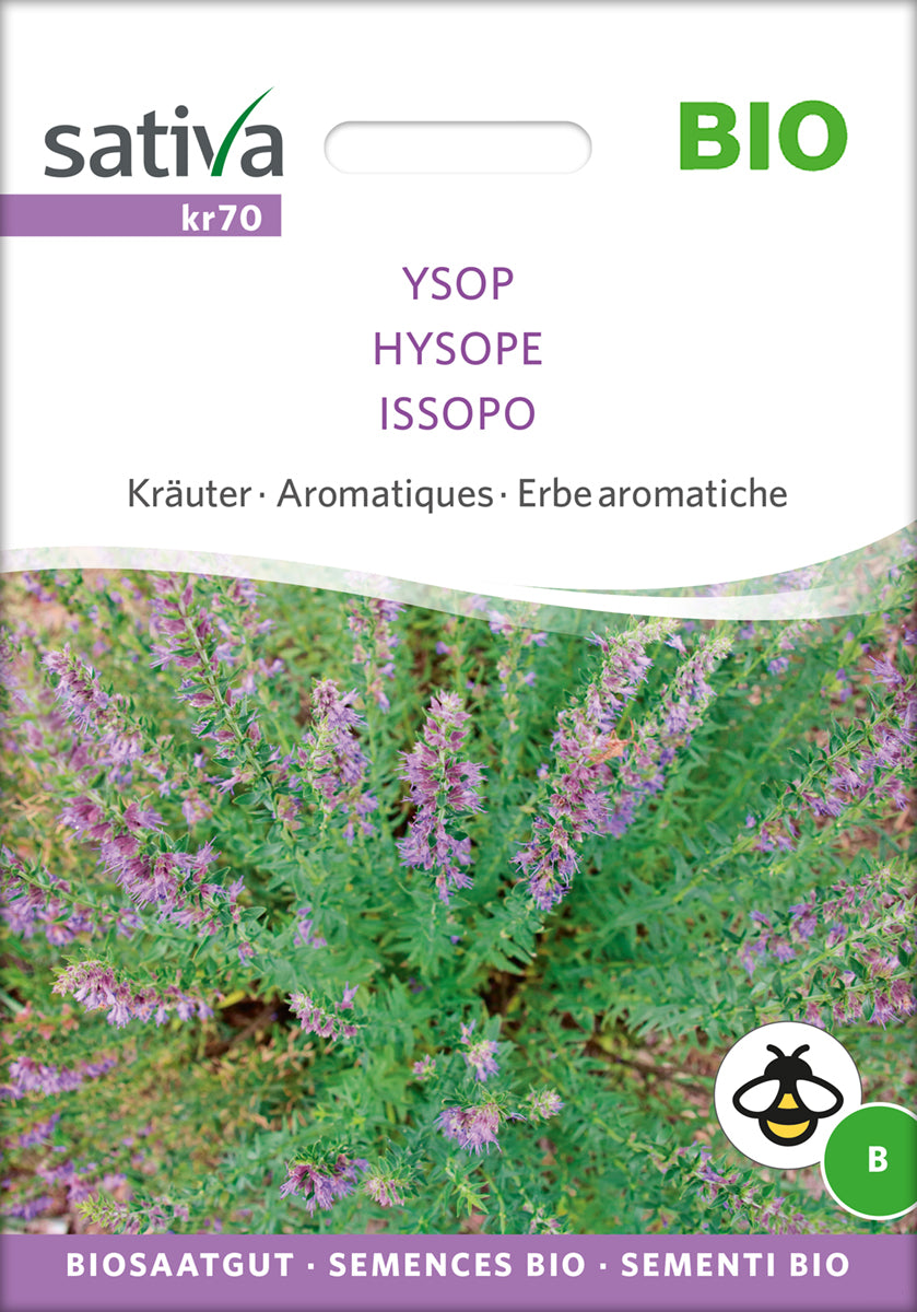 Artikelbild 1 von "BIO Ysop [MHD 12/2025]" aus der Kategorie Ysopsamen