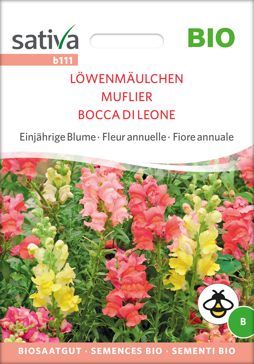 Artikelbild 1 von "BIO Löwenmäulchen" aus der Kategorie Löwenmaulsamen