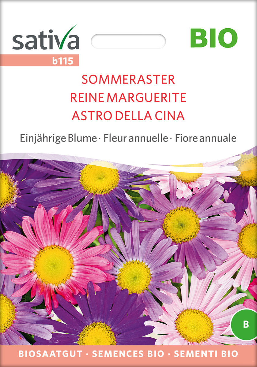 Artikelbild 1 von "BIO Sommeraster [MHD 12/2025]" aus der Kategorie Asternsamen