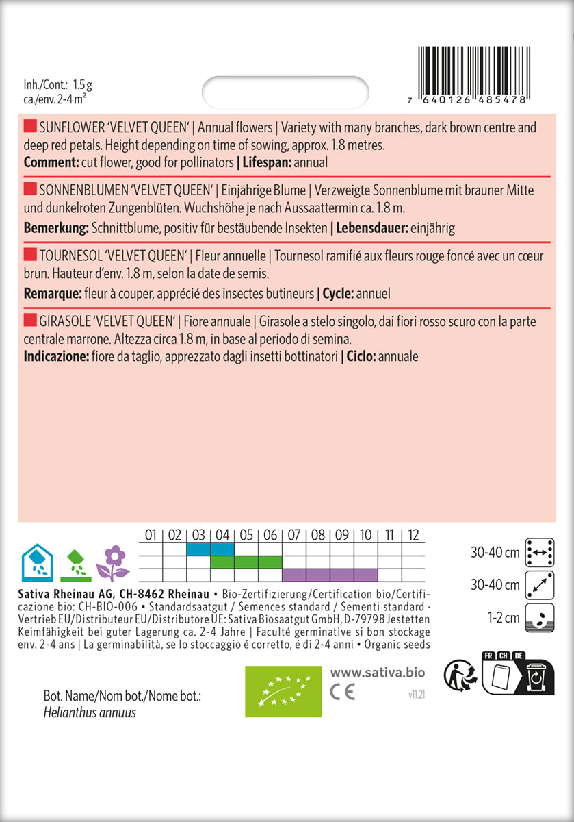Artikelbild 2 von "BIO Sonnenblume Velvet Queen" aus der Kategorie Sonnenblumensamen