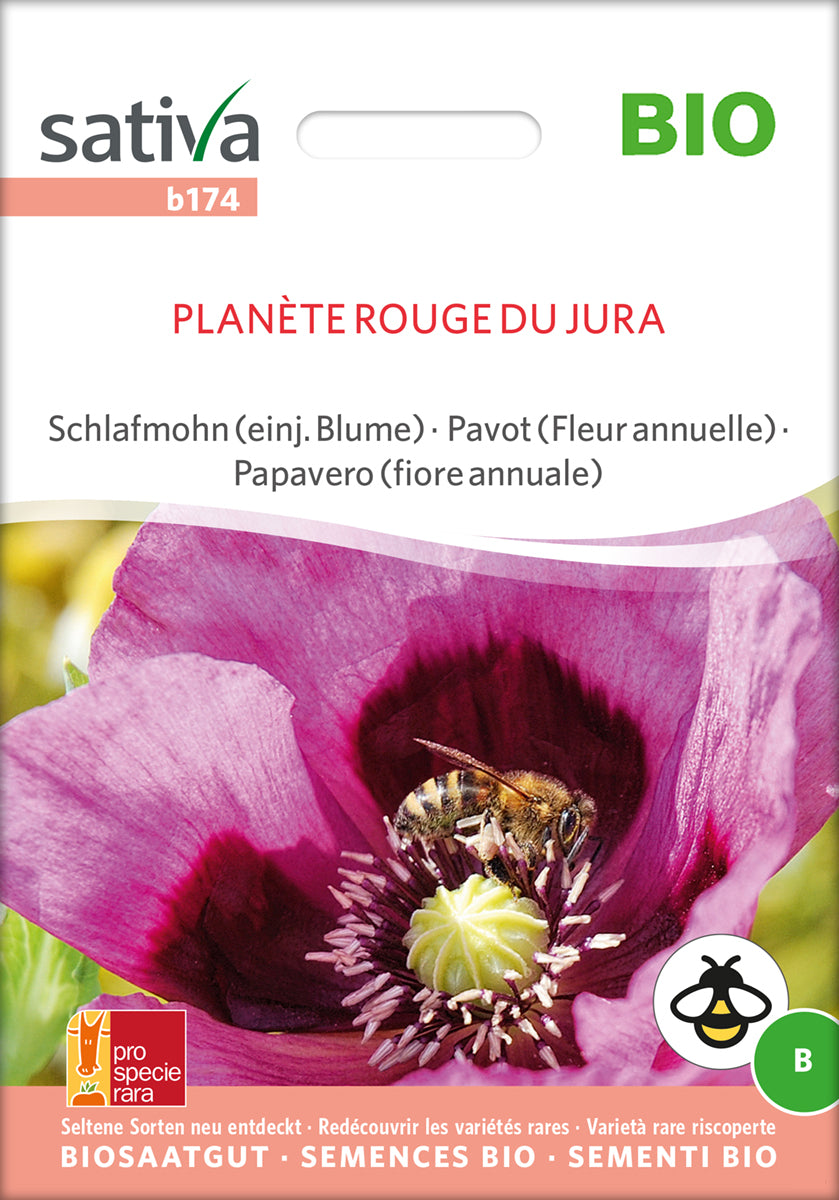 Artikelbild 1 von "BIO Schlafmohn Planète Rouge Du Jura" aus der Kategorie Mohnsamen
