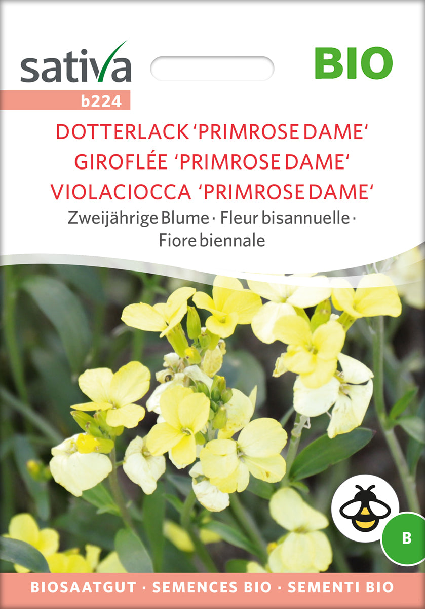 Artikelbild 1 von "Bio-Dotterlack 'Primrose Dame'" aus der Kategorie Blumensamen