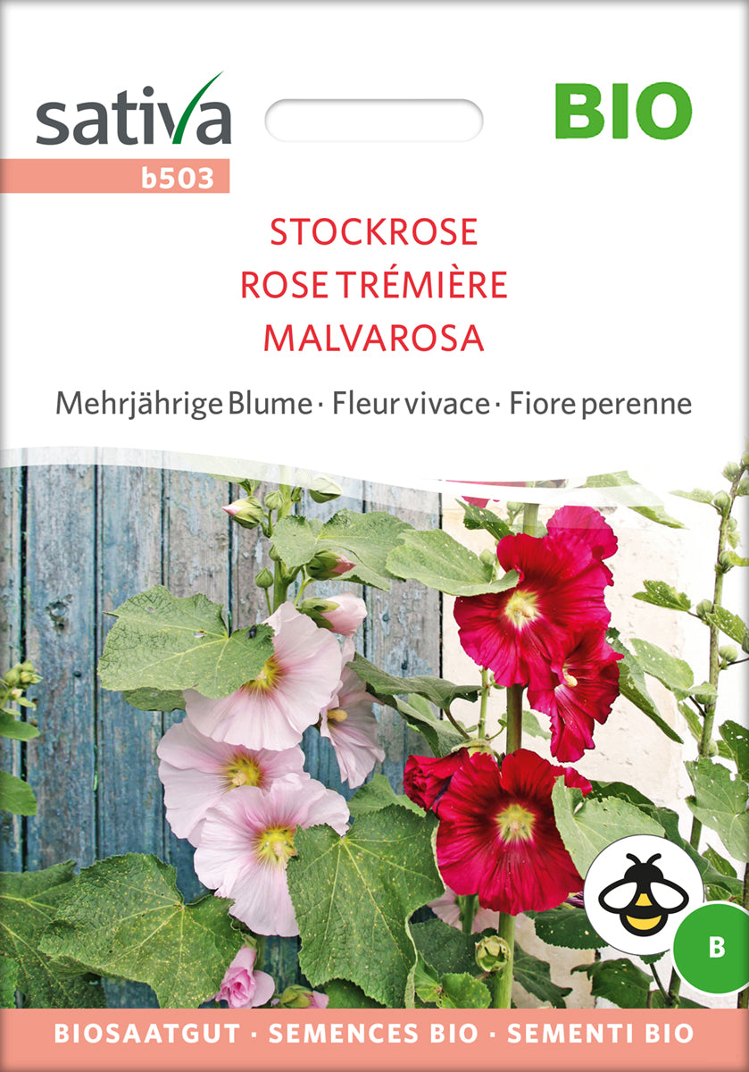 Artikelbild 1 von "BIO Stockrose" aus der Kategorie Stockrosensamen